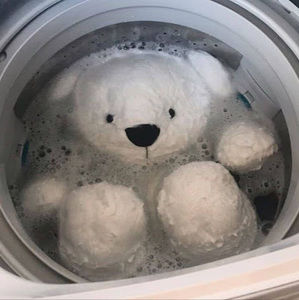 Meet your Posher, Sophia